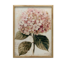  KERET FALI PLAKÁT HORTENSE ILLUSZTRÁCIÓ 30x40 CM SÖTÉTBANA grafika, keretezett kép