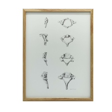KERET FALI PLAKÁT NYAKI CSIGOLYÁK ANATÓMIÁJA 50x70 CM grafika, keretezett kép