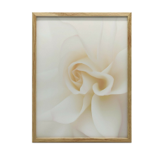 KERET FALI PLAKÁT WHITE ESSENTIAL ROSES 30x40 CM MATTE grafika, keretezett kép