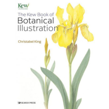  Kew Book of Botanical Illustration (paperback edition) idegen nyelvű könyv