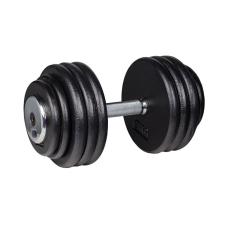 Kézisúlyzó inSPORTline 45 kg-II.osztály kézisúlyzó