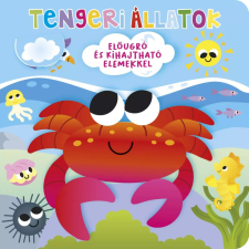  - Ki bújt el? Tengeri állatok gyermek- és ifjúsági könyv