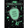  Kiben bízhat Cara? - Cornwall College
