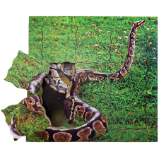 Kígyó életciklus - fa réteges puzzle puzzle, kirakós