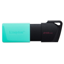 Kingston 256gb usb3.2 datatraveler exodia m (dtxm/256gb) flash drive pendrive