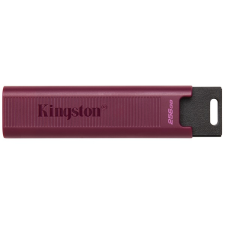Kingston 256gb usb3.2 type-a datatraveler max (dtmaxa/256gb) flash drive pendrive