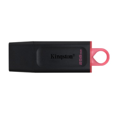 Kingston Datatraveler Exodia 256GB USB 3.2 (DTX/256GB) - Pendrive pendrive
