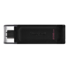 Kingston DataTraveler Type-C 3.2 256GB Pendrive - Fekete pendrive