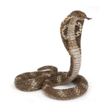  Király kobra játékfigura