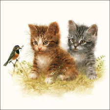 Kitten Friends papírszalvéta 33x33cm, 20db-os papírárú, csomagoló és tárolóeszköz