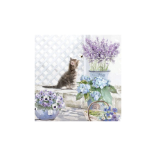 Kitten papírszalvéta 33x33cm, 20db-os konyhai eszköz