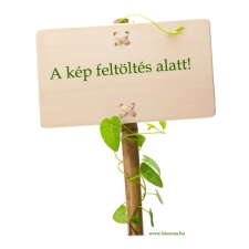 Klorofill hántolt napraforgómag 200 g mag