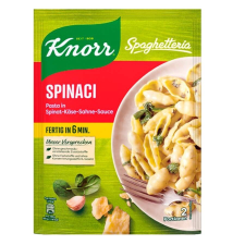KNORR Instant KNORR Spaghetteria tészta spenótos szószban 160g alapvető élelmiszer