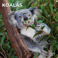  Koalas 2027 (Naptár/Határidőnapló) naptár, kalendárium