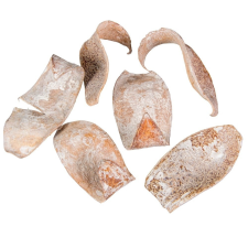  Kobra fej szárított havas fehér 26dkg/csom dekorációs kellék