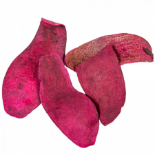  Kobra fej szárított pink 28dkg/csom dekorációs kellék