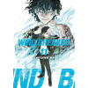 Kodansha America, Inc WIND BREAKER V11 | V11