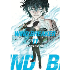 Kodansha America, Inc WIND BREAKER V11 | V11 egyéb könyv