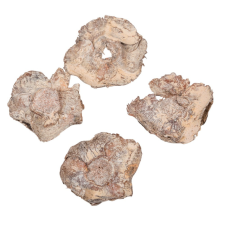  Kókusz virág falfestékes salmon 20dkg/csom dekorációs kellék