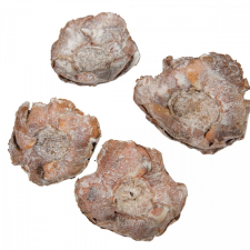  Kókusz virág havas fehér 16dkg/csomag dekorációs kellék