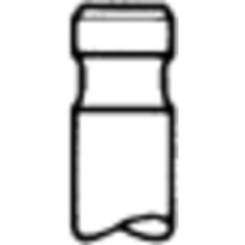 KOLBENSCHMIDT Kipufogószelep KOLBENSCHMIDT 25250 autóalkatrész