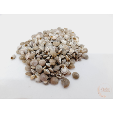  Köldökcsiga dekorációs kellék