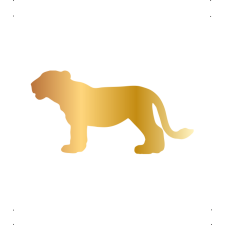  Kölyök oroszlán autó matrica arany #353 matrica