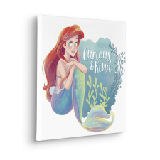 Komar Disney Ariel Curious & Kind feszített vászonkép kék grafika, keretezett kép