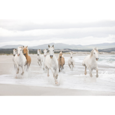 Komar fotótapéta White Horses 368 cm x 254 cm FSC tapéta, díszléc és más dekoráció