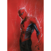Komar Marvel Spider-Man Through the Spider Web falikép 50 cm x 70 cm piros