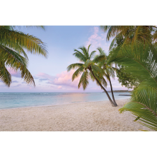 Komar nemszőtt fotótapéta Paradise Morning 368 cm x 248 cm FSC tapéta, díszléc és más dekoráció