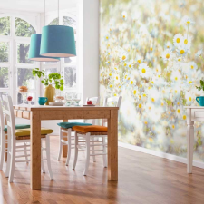 Komar Products Gmbh Daisies fotótapéta tapéta, díszléc és más dekoráció