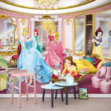 Komar Products Gmbh Disney Princess Mirror fotótapéta tapéta, díszléc és más dekoráció