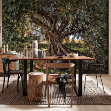 Komar Products Gmbh Olive Tree fotótapéta tapéta, díszléc és más dekoráció