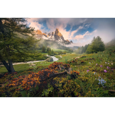 Komar tapéta Morning Walk 368 cm x 254 cm tapéta, díszléc és más dekoráció