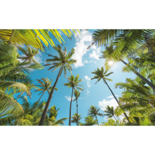 Komar Vlies fotótapéta Coconut Heaven 450 cm x 280 cm tapéta, díszléc és más dekoráció