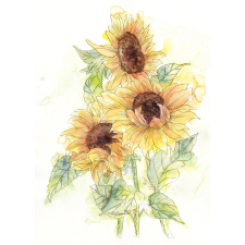 Komar vlies fotótapéta Girasol 200 cm x 250 cm tapéta, díszléc és más dekoráció