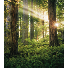 Komar Vlies fotótapéta Goblins Woods 250 cm x 280 cm tapéta, díszléc és más dekoráció