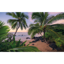 Komar Vlies fotótapéta Hawaiian Dreams 450 cm x 280 cm tapéta, díszléc és más dekoráció