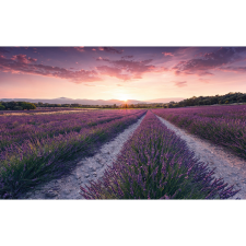 Komar Vlies fotótapéta Lavender Dream 450 cm x 280 cm tapéta, díszléc és más dekoráció