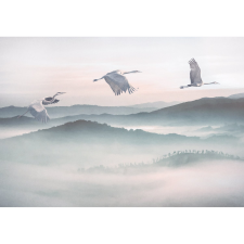 Komar vlies fotótapéta Mystic Cranes 400 cm x 280 cm tapéta, díszléc és más dekoráció
