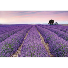 Komar vlies fotótapéta Provence 400 cm x 260 cm tapéta, díszléc és más dekoráció