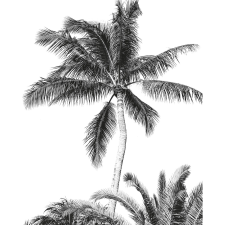 Komar vlies fotótapéta Retro Palm 200 cm x 250 cm tapéta, díszléc és más dekoráció