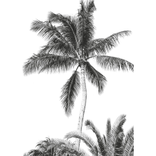 Komar vlies fotótapéta Retro Palm 200 cm x 280 cm tapéta, díszléc és más dekoráció