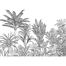 Komar vlies fotótapéta Savanna 350 cm x 250 cm tapéta, díszléc és más dekoráció