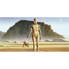 Komar vlies fotótapéta Star Wars Classic RMQ Droids 500 cm x 250 cm tapéta, díszléc és más dekoráció