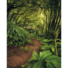 Komar vlies fotótapéta The Path 200 cm x 250 cm tapéta, díszléc és más dekoráció