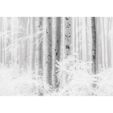 Komar vlies fotótapéta Winter Wood 400 cm x 280 cm tapéta, díszléc és más dekoráció