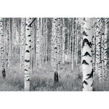 Komar vlies fotótapéta Woods 400 cm x 270 cm tapéta, díszléc és más dekoráció