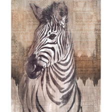 Komar vlies fotótapéta Zebra 200 cm x 250 cm tapéta, díszléc és más dekoráció